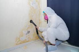 Why You Should Choose Our Mold Remediation Services in Ashtabula, OH